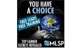 Learn Internet Marketing like a pro with MLSP